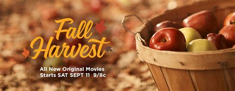 autumn harvest hallmark|More.